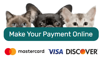 Make your Payment Online - Mastercard - Visa - Discover